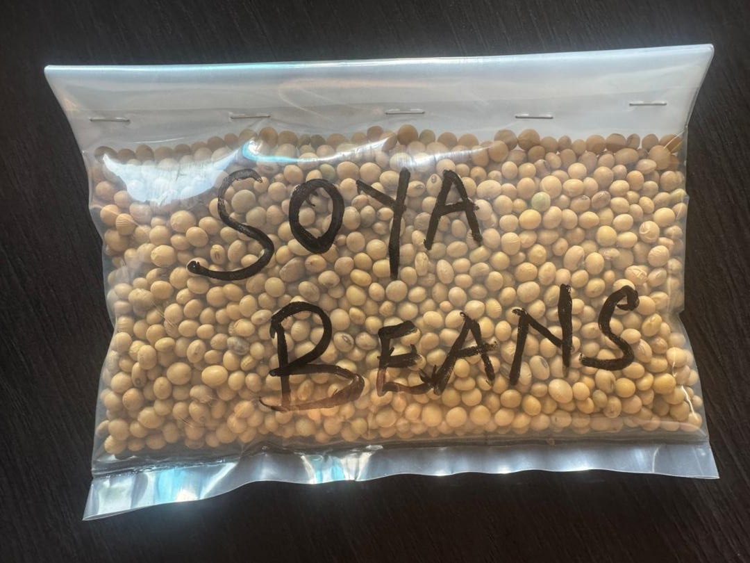 Soya Beans