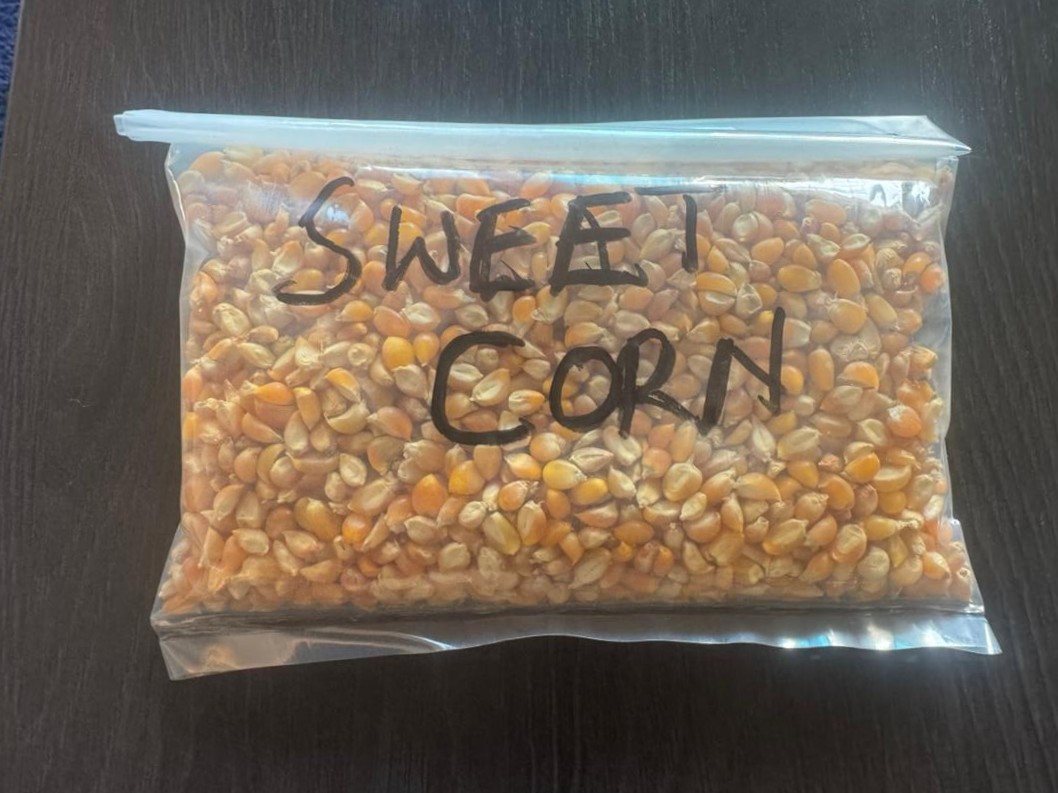 Sweet Corn